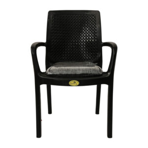 Dolphin Desire Chair