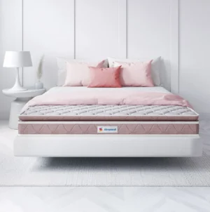 Sleepwell Mattress Spinetech Air Mattress - Jagat Decor Satungal (4)