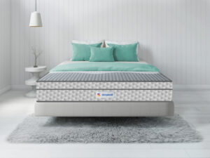 Sleepwell Ortho Pro Spring Mattress - Jagat Decor Satungal